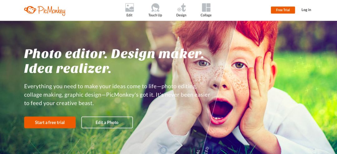 Креативы в инсте: где собака зарыта?