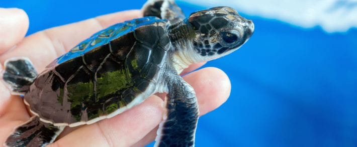 Об экологии в арбитраже: часть 1 - не плюй себе в колодец