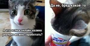 Что вы знаете о гэмблинге?