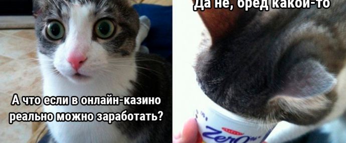 Что вы знаете о гэмблинге?