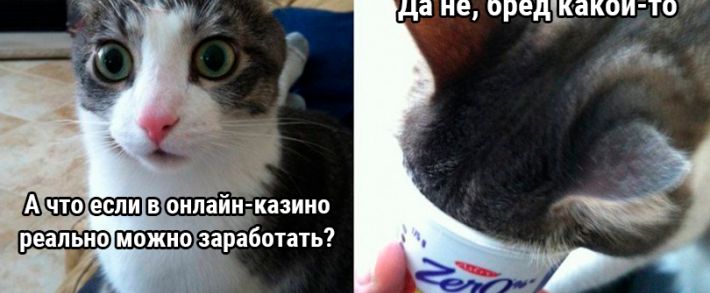 Что вы знаете о гэмблинге?