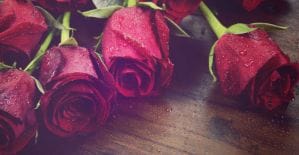 Кому ActionPay раздает ролексы и как играть в морской бой с KMA читай в дайджесте партнерок №8 (12-18 сентября)