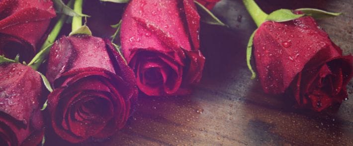 Кому ActionPay раздает ролексы и как играть в морской бой с KMA читай в дайджесте партнерок №8 (12-18 сентября)